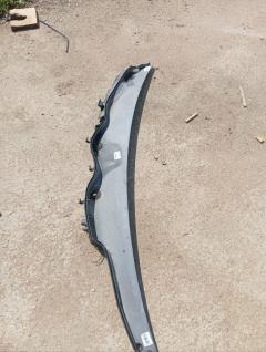 Решетка под лобовое стекло 2028300113 на Mercedes-Benz C-Class W203.045 Фото 6