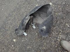 Подкрылок A2036981630, A2036980430 на Mercedes-Benz C-Class W203.045 111.955 Фото 3