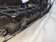 Решетка радиатора на Toyota Alphard ANH20W Фото 12
