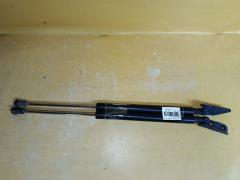 Амортизатор двери на Toyota Corolla Fielder ZRE144G