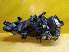 Фара 100-63958 100-63958 на Nissan Murano TNZ51 Фото 10