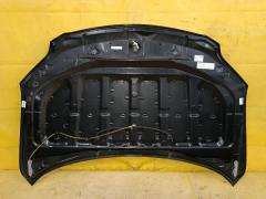 Капот 53301-12A30, 5330112A30, D25STTY310150, STTY310150, TY20162AJ на Toyota Corolla Fielder NZE144G Фото 5
