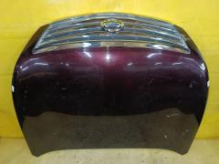 Капот на Nissan Teana J32 Фото 4