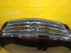 Капот на Nissan Teana J32 Фото 5