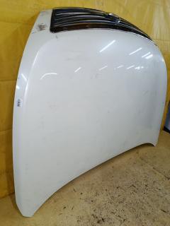 Капот на Nissan Teana J32 Фото 3
