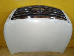 Капот на Nissan Teana J32 Фото 4