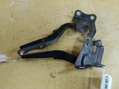 Крепление капота на Toyota Corolla Fielder ZRE144G