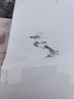 Крыло переднее 31217975 на Volvo Xc60 DZ Фото 8