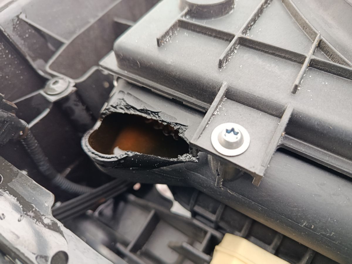 Радиатор ДВС 5N0121253L, 01103168, 030M59, 040014N, 040048N, 0530170065, 102169, 1025412SX, 107117, 1100290012, 1114208500, 1550102, 21017, 34718502, 350213022003, 359040, 470R1032, 545015BA, 545015P, 58002287, 58002324, 58339, 58464, 5N0121253F, 5N0121253H, 5N0121253M, 5N0121253N, 5N0121253P, 60582287, 60582324, 65015, 701728, 735133, 8010052, 8225502, 8225503, 8MK 376 901021, 8MK376733634, 8MK376901-021, 952287R, 952324R, 9548302324, 9552081, 955208A1, ACRB189, ACRM189, ARD2427, AU0011216, CR 2032 000S, CU13272, D7W059TT, DCM3468, DRM32046, FP 74 A320X, FRC1080, FRC1080M, GD7947, JPR0155, LRC 18N5, MK1231, PL453007, PRD2427, RA0300590, RB1605, RC00127, STR0259, TD-036-0041, VCS1478, VCS2193, VW0006, VW06, VW2287, VW2324, VWA2287, VWA2324, VWTGN07910, WG1723414, WK13272PA26 на Volkswagen Tiguan 5N CCZD Фото 10