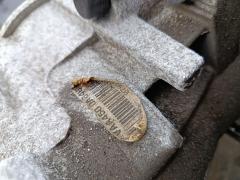 КПП автоматическая 37т.км на Volkswagen Tiguan 5N CCZD Фото 7