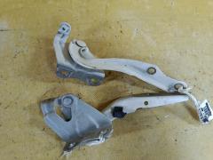 Крепление капота на Toyota Corolla Fielder NZE144G