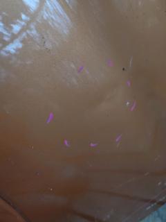 Крыло переднее 957 957,7L5821105D на Porsche Cayenne 9PA / 957 Фото 9