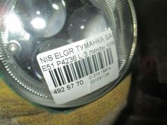 Туманка бамперная P4236 на Nissan Elgrand E51 Фото 2