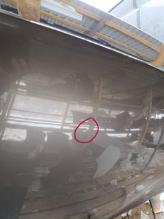 Капот F5100-EG0MM на Nissan Fuga PY50 Фото 15