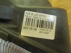 Фара 1665 на Nissan Bluebird Sylphy TG10 Фото 4