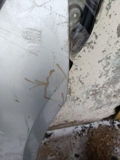 Крыло переднее 63100-AL530, 63100-AL535, DS10129AR на Nissan Skyline V35 Фото 7