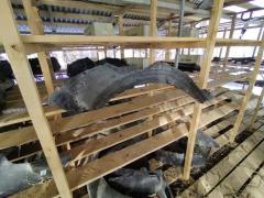 Подкрылок 53875-52180 на Toyota Belta SCP92 2SZ-FE Фото 3