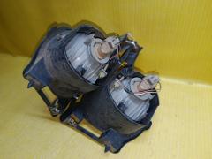 Туманка бамперная 42-34 42-34 на Toyota Porte NNP10 Фото 7