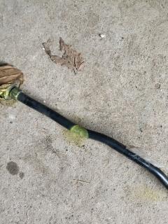 Стабилизатор на Mazda Demio DE3FS ZJ-VE Фото 6