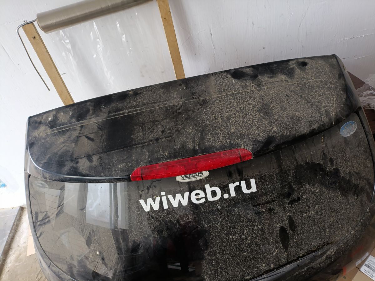 Дверь задняя P5016 P5016 на Nissan Murano TZ50 Фото 4