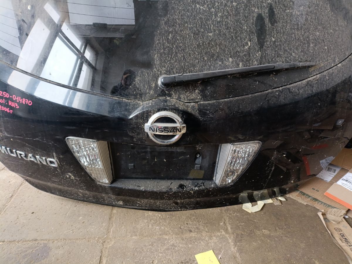 Дверь задняя P5016 P5016 на Nissan Murano TZ50 Фото 5