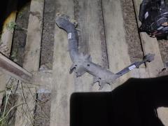 Рычаг на Honda Integra DC5 K20A Фото 3