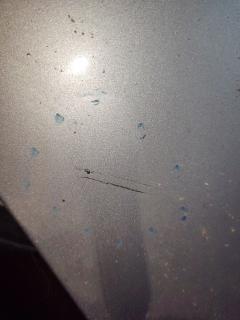 Крыло переднее на Nissan Cedric MY34 Фото 9