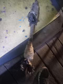 Привод на Honda Insight ZE2 LDA Фото 5