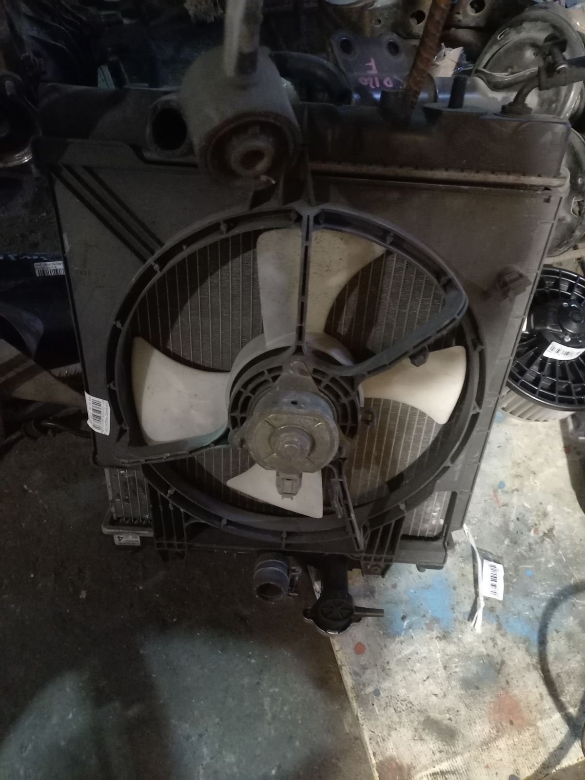 Радиатор ДВС на Nissan March K11 CG10DE Фото 4