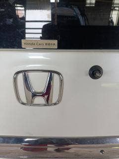 Дверь задняя на Honda Stepwgn RK5 Фото 8