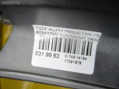 Решетка под лобовое стекло на Toyota Alphard ANH10W Фото 2
