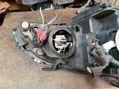 Фара на Lexus Rx330 MCU30W Фото 7