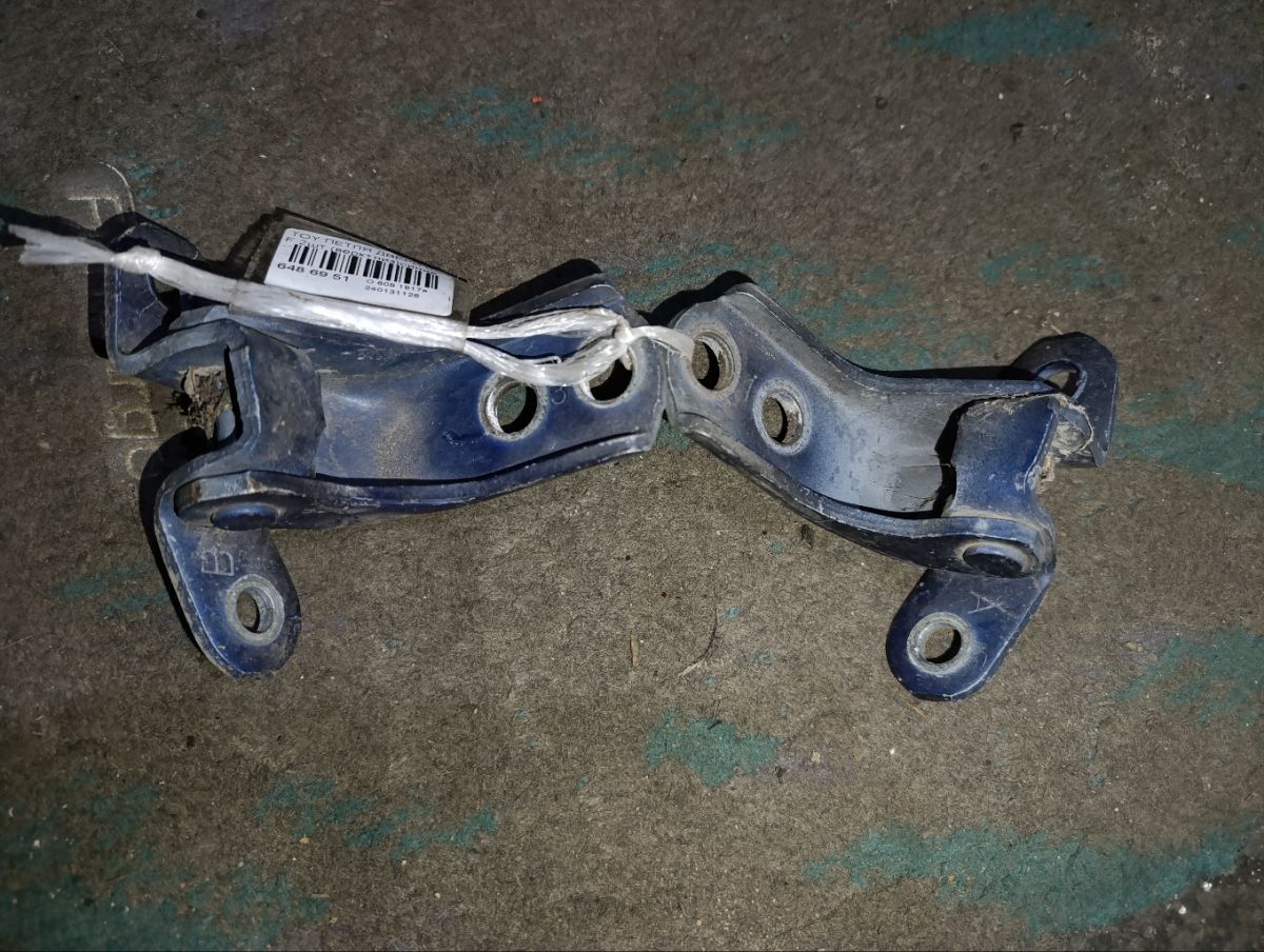 Петля двери шарнирная на Toyota Rav 4 SXA10 Фото 2