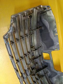 Решетка радиатора 62312-1JB0A на Nissan Elgrand TE52 Фото 7