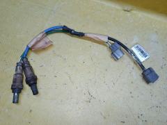Лямбда-зонд на Honda Elysion RR1 K24A