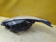 Фара BM51-13W029-AK на Ford Focus Iii Фото 4