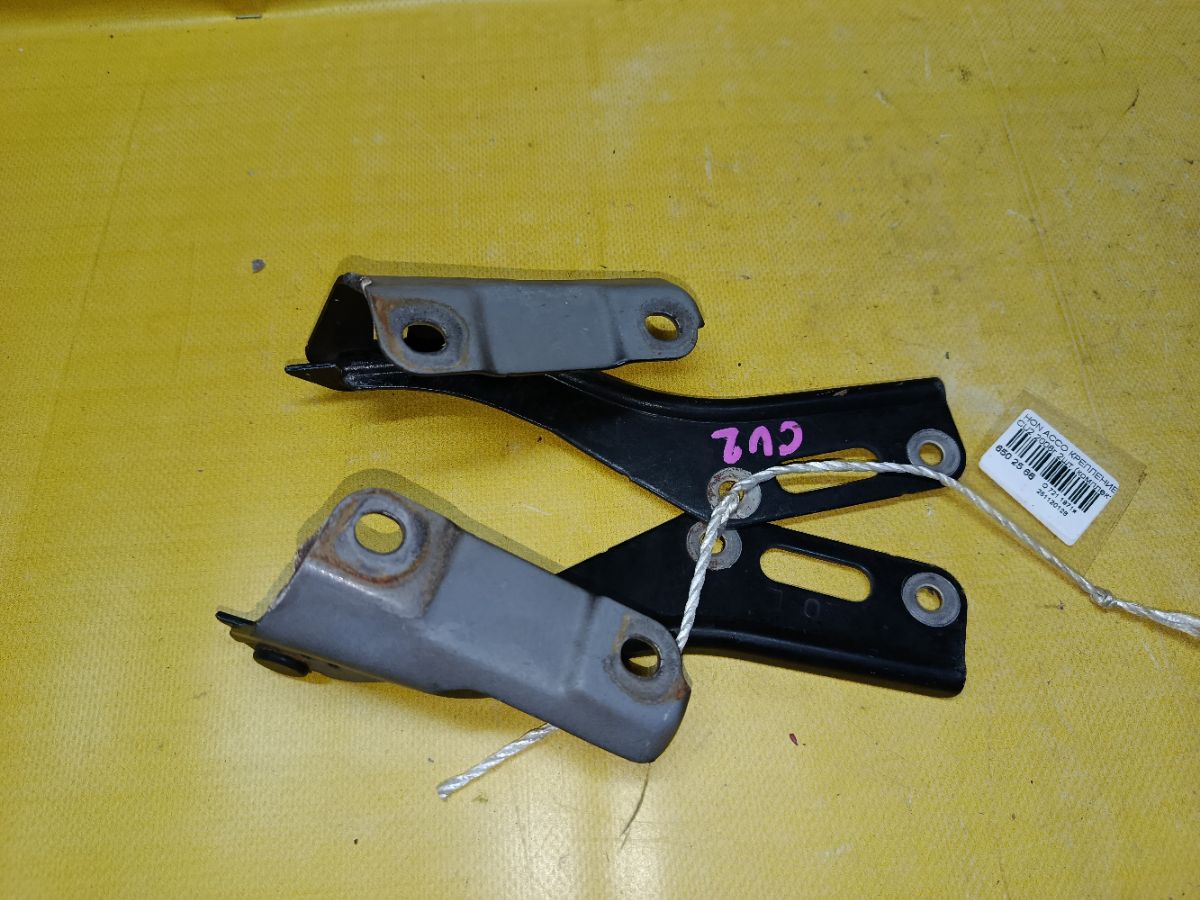 Крепление капота на Honda Accord CU2 Фото 2