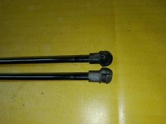 Амортизатор двери на Nissan X-Trail NT31 Фото 3