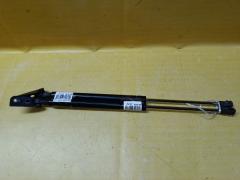 Амортизатор двери на Toyota Corolla Fielder NZE144G