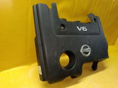 Кожух ДВС 14041-1AA1A на Nissan Teana J32 VQ25DE Фото 3