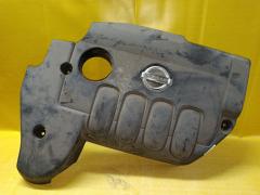 Кожух ДВС на Nissan Teana TNJ32 QR25DE