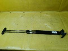 Амортизатор двери на Toyota Succeed NCP51V