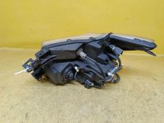 Фара 100-23009 100-23009 на Nissan Elgrand TE52 Фото 5