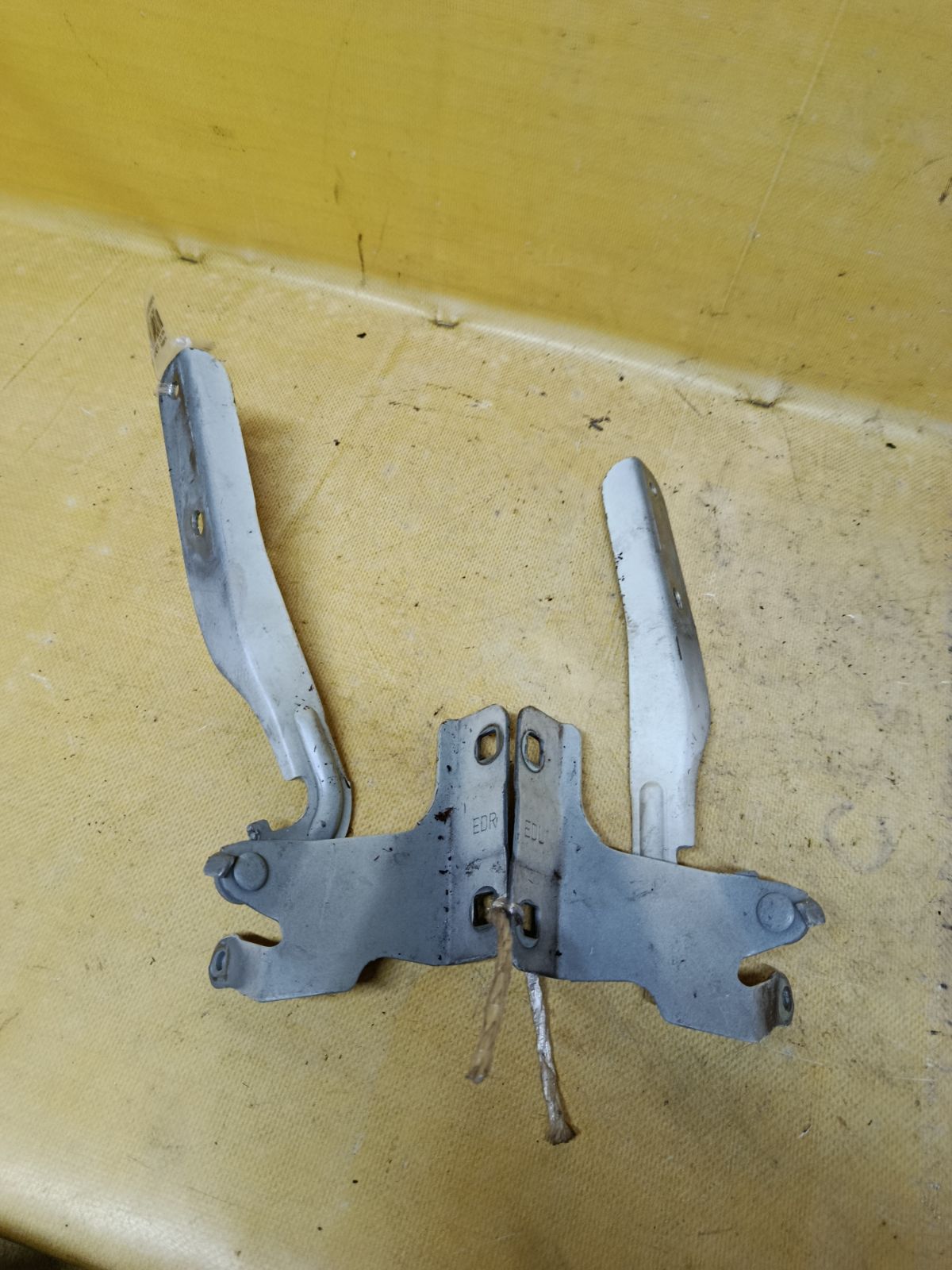 Крепление капота на Nissan Tiida C11 Фото 1