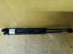 Амортизатор двери на Mazda Atenza GJ2FW