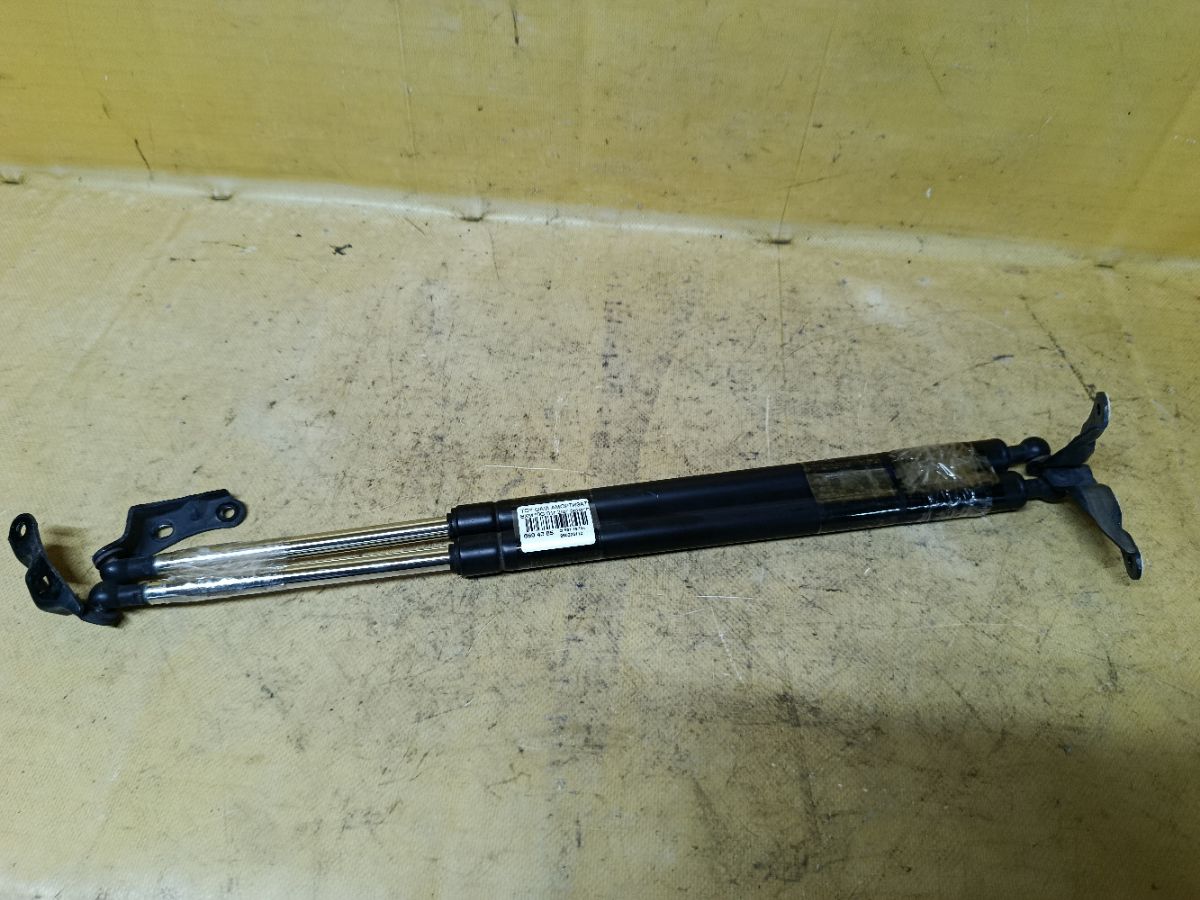 Амортизатор двери на Toyota Gaia SXM10G Фото 2