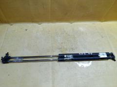 Амортизатор двери на Honda Stream RN6 Фото 2