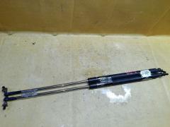 Амортизатор двери на Honda Stream RN7 Фото 2