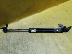 Амортизатор двери на Toyota Vitz NCP13