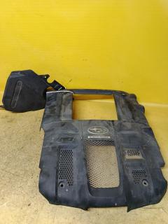 Кожух ДВС на Subaru Legacy BL5 EJ20X 46112AG020  14025AA210